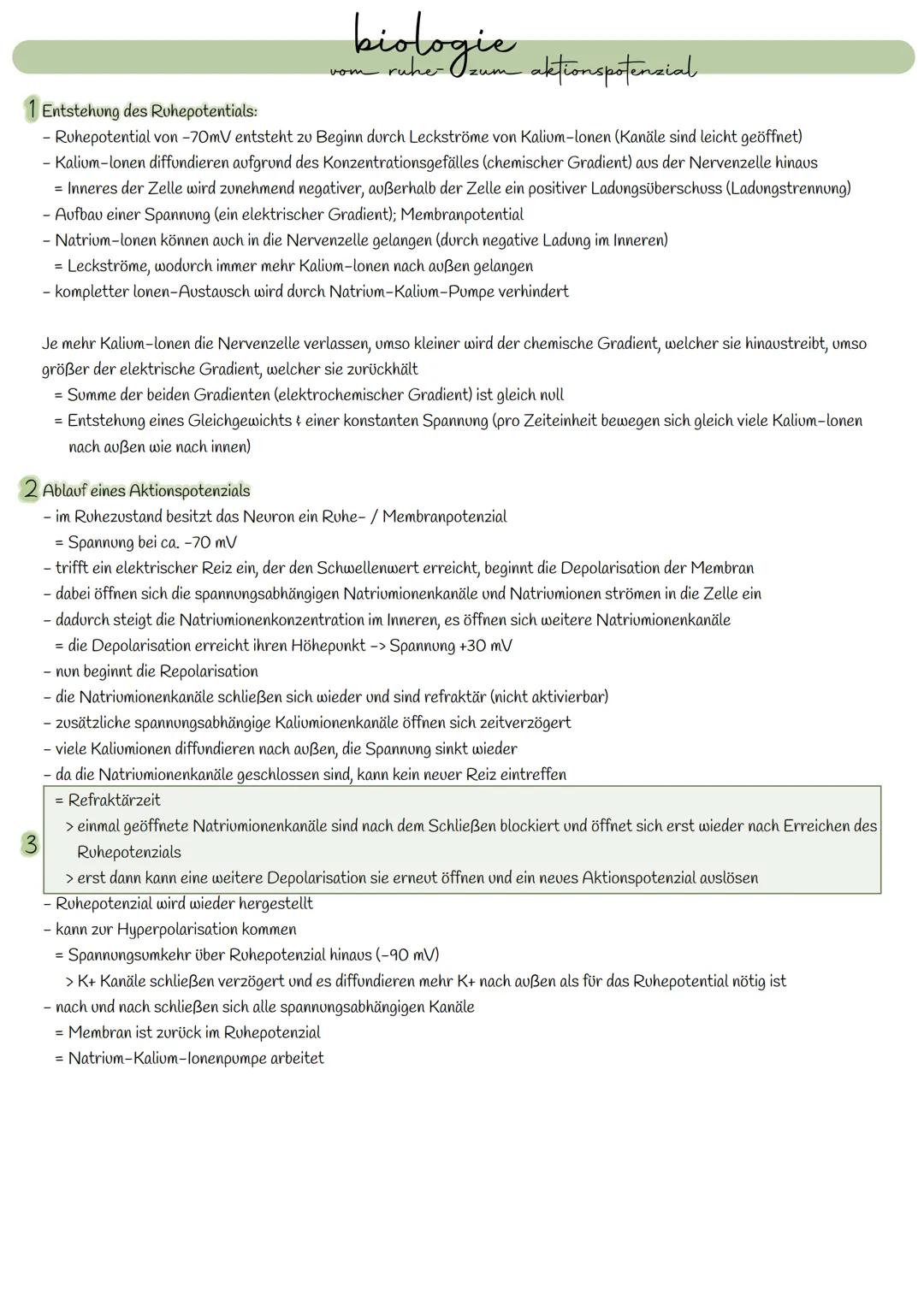 # BIOLOGIE
# NEUROBIOLOGIE
# KLAUSUR

## Neuron

Dendrit

Synaptisches
Endknöpfen

Soma

Ranvierscher
Schürring

Axon

Schwannsche Zelle

My