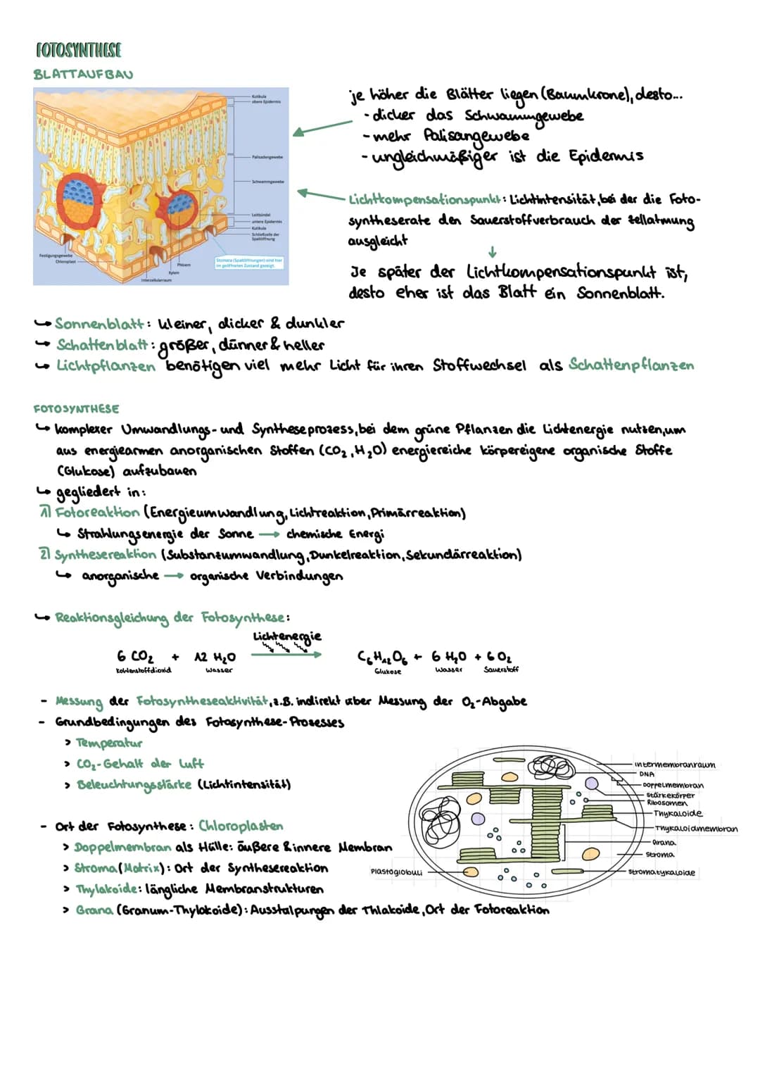 WECHSELBEZIEHUNGEN ZW. LEBEWESEN UND IHRER UMWELT
abiotische
Biotop Biozonose
Ökosysteme
Biosphäre
biotische
Ökosystem
Umweltfaktoren.
1
Öle