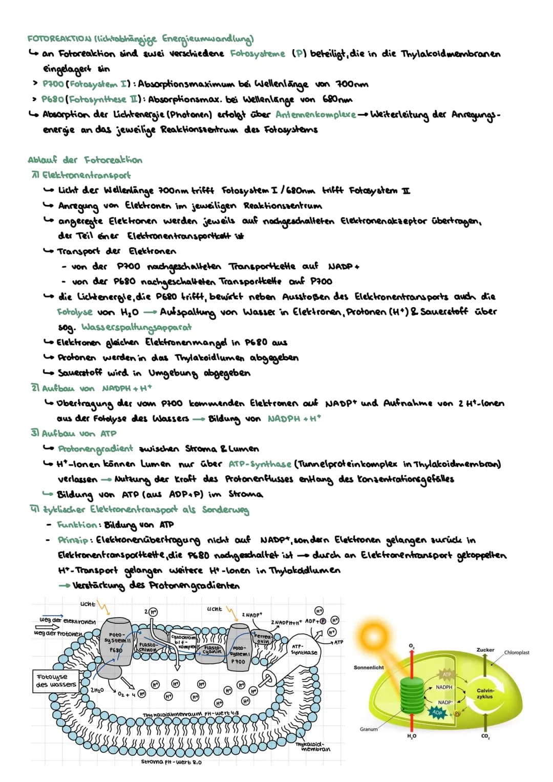 WECHSELBEZIEHUNGEN ZW. LEBEWESEN UND IHRER UMWELT
abiotische
Biotop Biozonose
Ökosysteme
Biosphäre
biotische
Ökosystem
Umweltfaktoren.
1
Öle