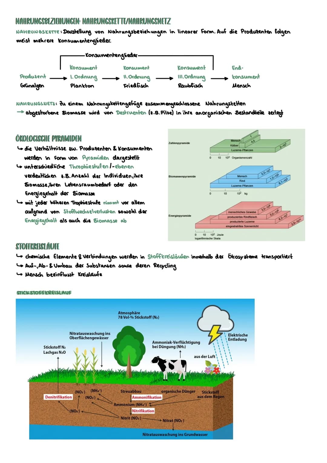 WECHSELBEZIEHUNGEN ZW. LEBEWESEN UND IHRER UMWELT
abiotische
Biotop Biozonose
Ökosysteme
Biosphäre
biotische
Ökosystem
Umweltfaktoren.
1
Öle