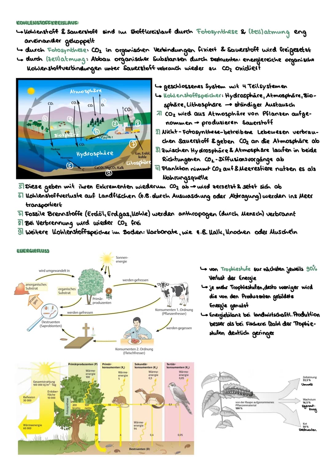 WECHSELBEZIEHUNGEN ZW. LEBEWESEN UND IHRER UMWELT
abiotische
Biotop Biozonose
Ökosysteme
Biosphäre
biotische
Ökosystem
Umweltfaktoren.
1
Öle