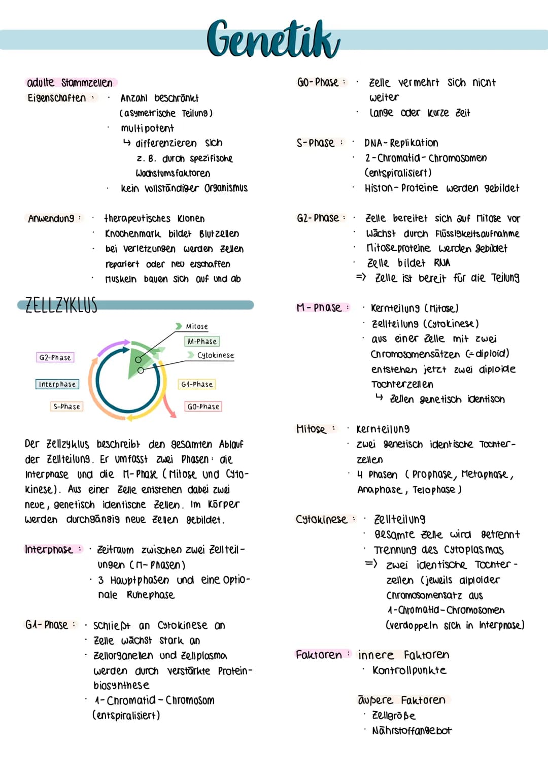 Definition biologische Teildisziplin, die sich
mit dem Bau, der Funktion sowie
himm
der Weitergabe von Erbinformationen
(Gene) in nachfolgen