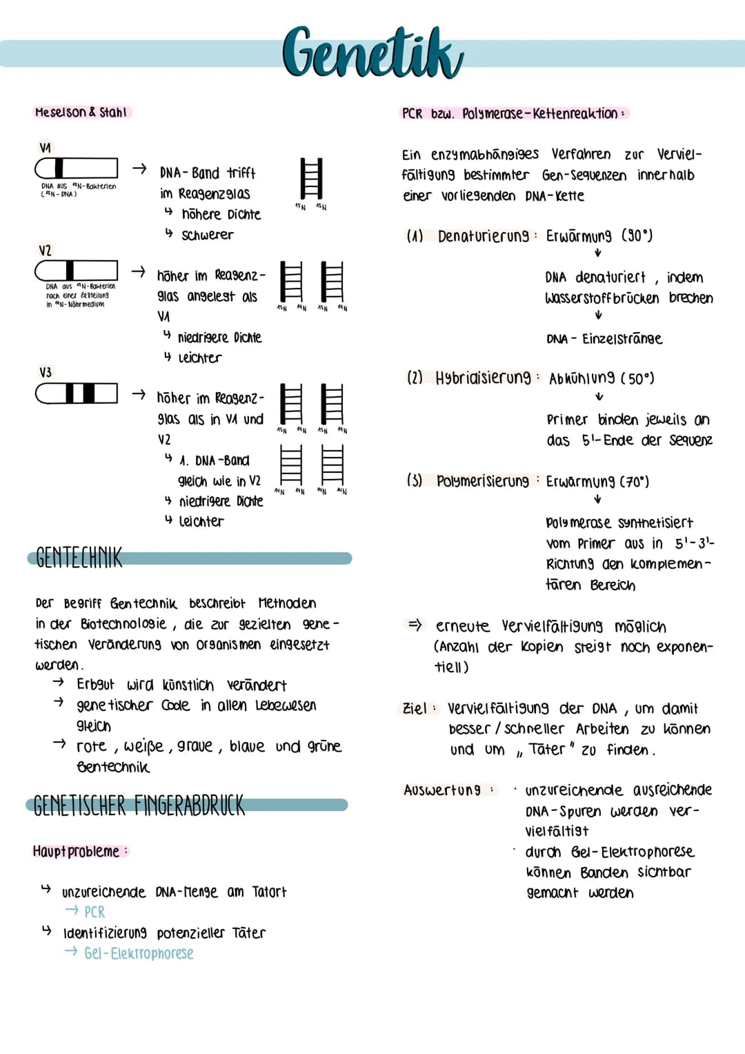 Definition biologische Teildisziplin, die sich
mit dem Bau, der Funktion sowie
himm
der Weitergabe von Erbinformationen
(Gene) in nachfolgen