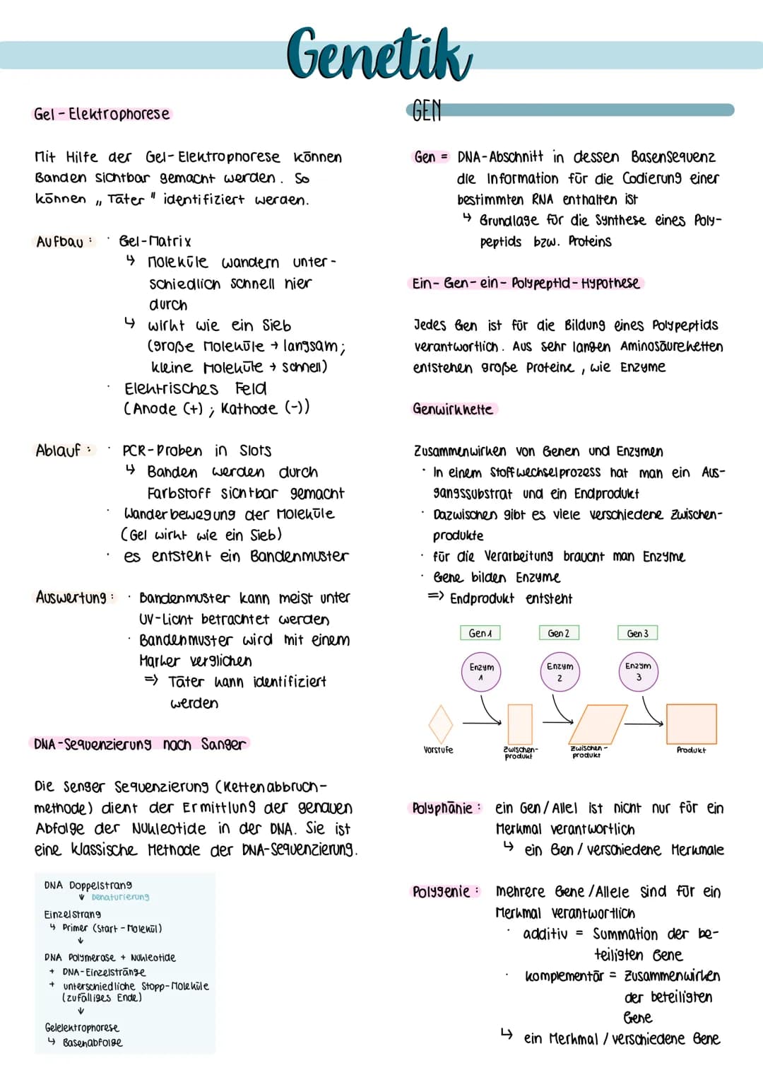 Definition biologische Teildisziplin, die sich
mit dem Bau, der Funktion sowie
himm
der Weitergabe von Erbinformationen
(Gene) in nachfolgen