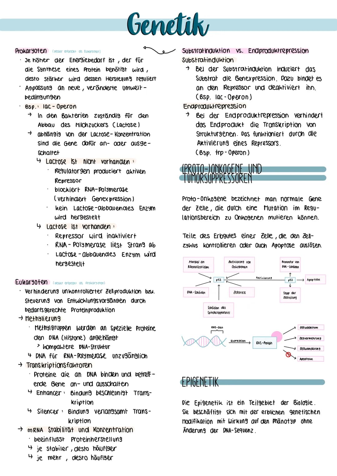 Definition biologische Teildisziplin, die sich
mit dem Bau, der Funktion sowie
himm
der Weitergabe von Erbinformationen
(Gene) in nachfolgen