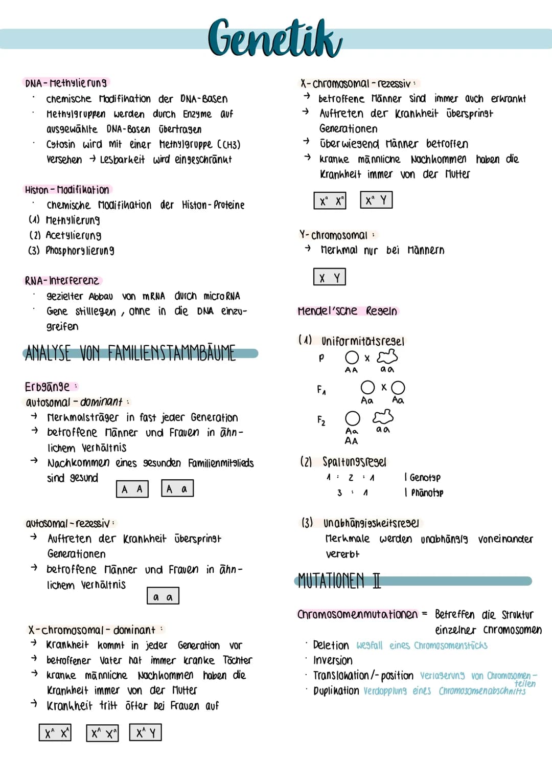 Definition biologische Teildisziplin, die sich
mit dem Bau, der Funktion sowie
himm
der Weitergabe von Erbinformationen
(Gene) in nachfolgen