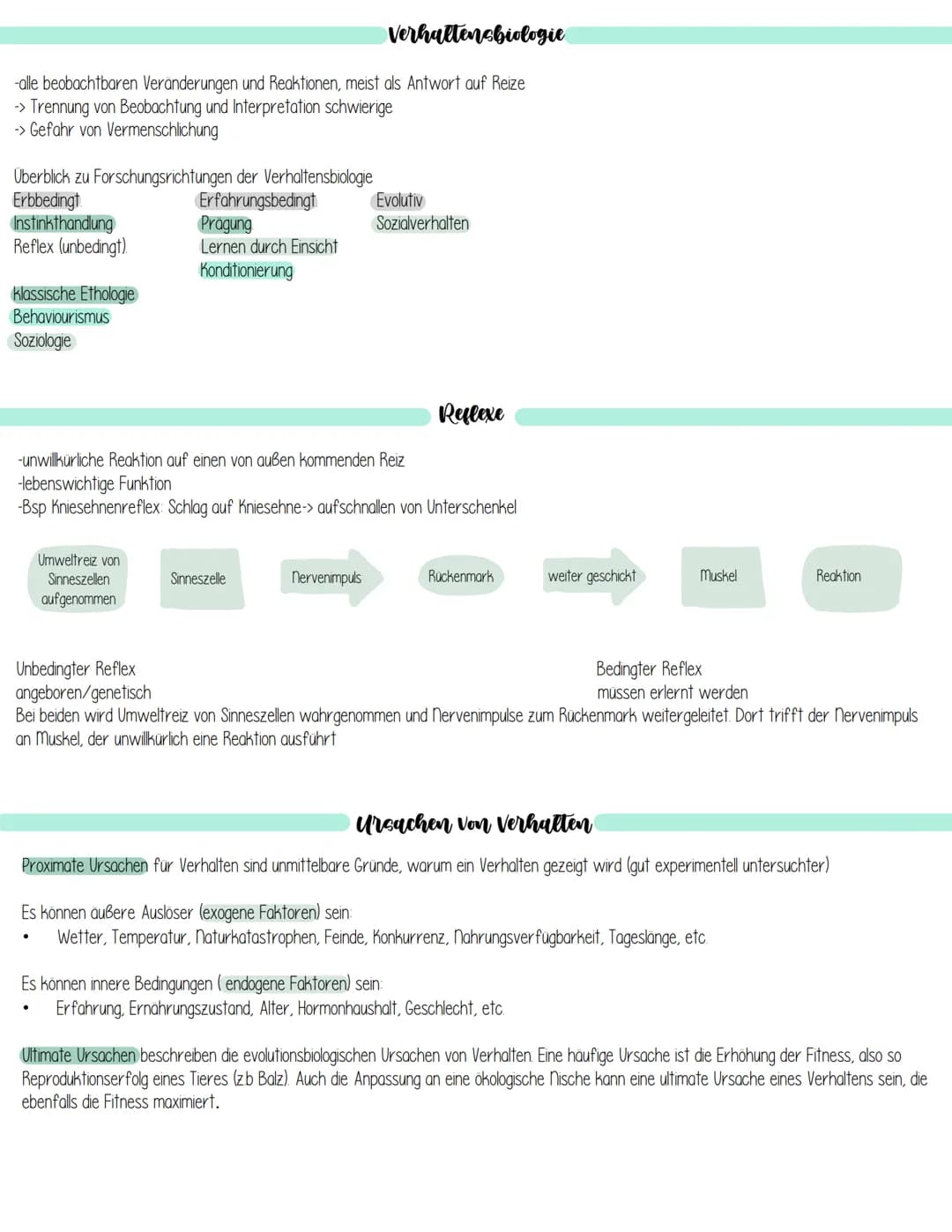 Verhaltensbiologie
-alle beobachtbaren Veränderungen und Reaktionen, meist als Antwort auf Reize
-> Trennung von Beobachtung und Interpretat