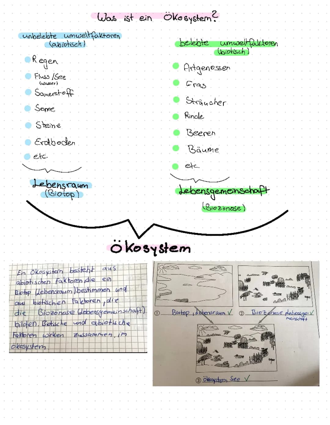 Ökosystem