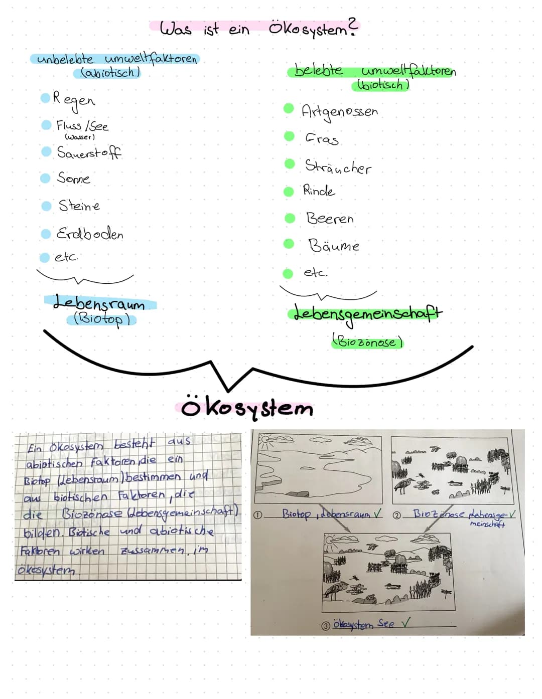 unbelebte umweltfaktoren
(abiotisch)
Regen
Fluss /See
(wasser)
Sauerstoff
Sonne
Steine
Erdboden
etc.
Was ist ein Ökosystem?
Lebensraum
(Biot