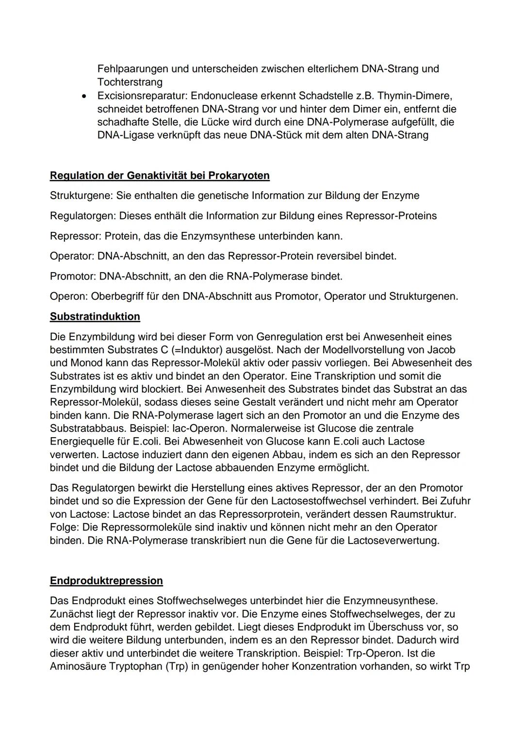 Q1
Prokaryoten und Eukaryoten
Prokaryoten
Biologie Leistungskurs Abitur 2021
●
Ringförmige DNA, ohne Kernhülle
und ohne Proteine, haploid
• 