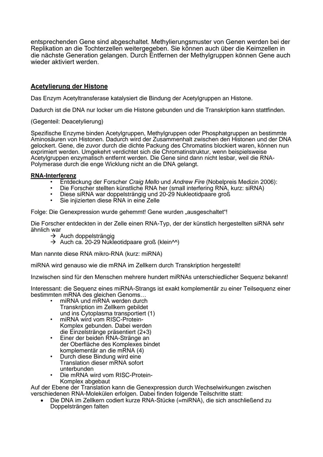 Q1
Prokaryoten und Eukaryoten
Prokaryoten
Biologie Leistungskurs Abitur 2021
●
Ringförmige DNA, ohne Kernhülle
und ohne Proteine, haploid
• 