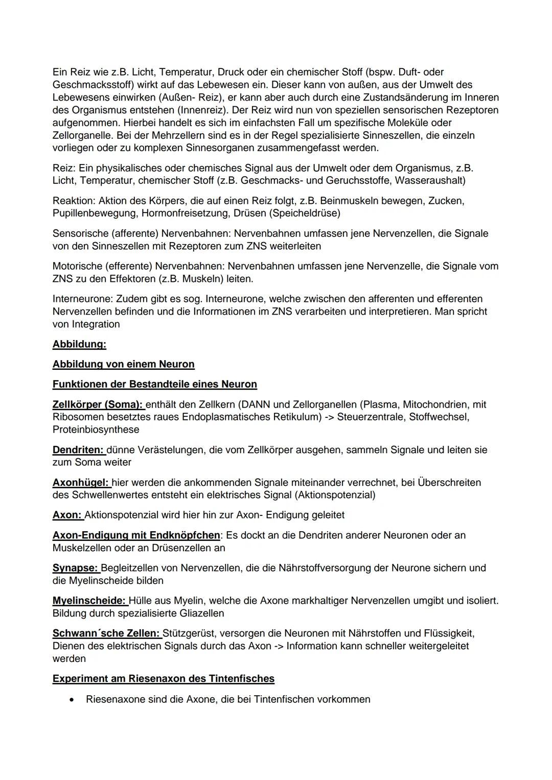 Q1
Prokaryoten und Eukaryoten
Prokaryoten
Biologie Leistungskurs Abitur 2021
●
Ringförmige DNA, ohne Kernhülle
und ohne Proteine, haploid
• 