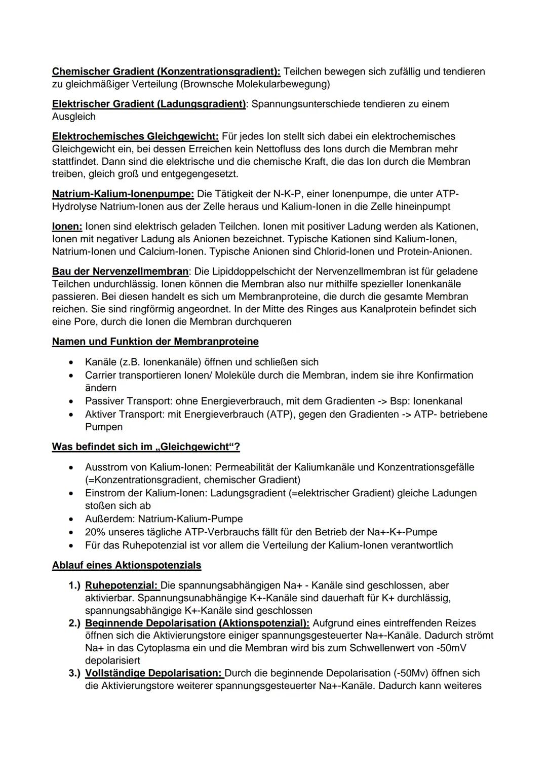 Q1
Prokaryoten und Eukaryoten
Prokaryoten
Biologie Leistungskurs Abitur 2021
●
Ringförmige DNA, ohne Kernhülle
und ohne Proteine, haploid
• 