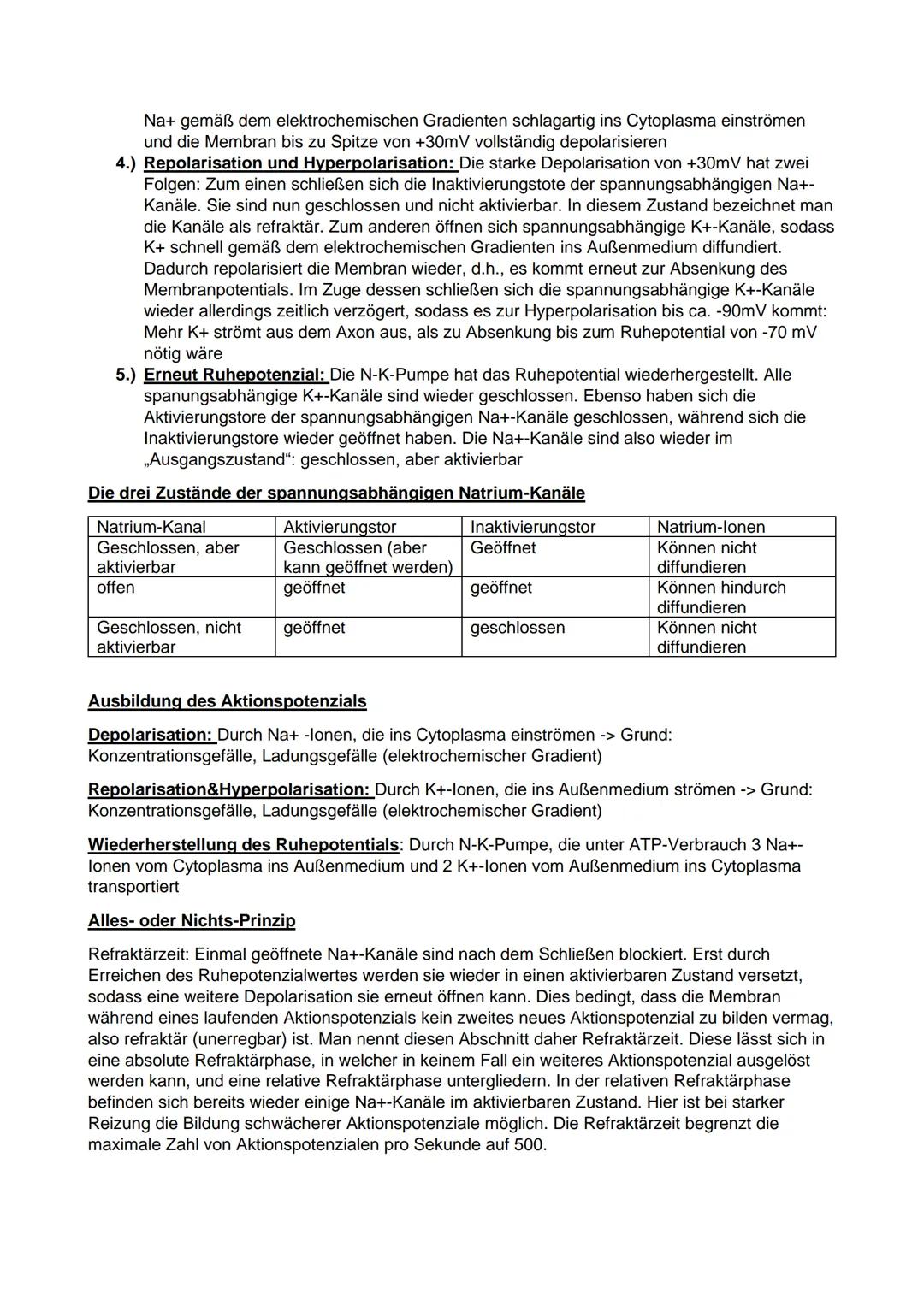 Q1
Prokaryoten und Eukaryoten
Prokaryoten
Biologie Leistungskurs Abitur 2021
●
Ringförmige DNA, ohne Kernhülle
und ohne Proteine, haploid
• 