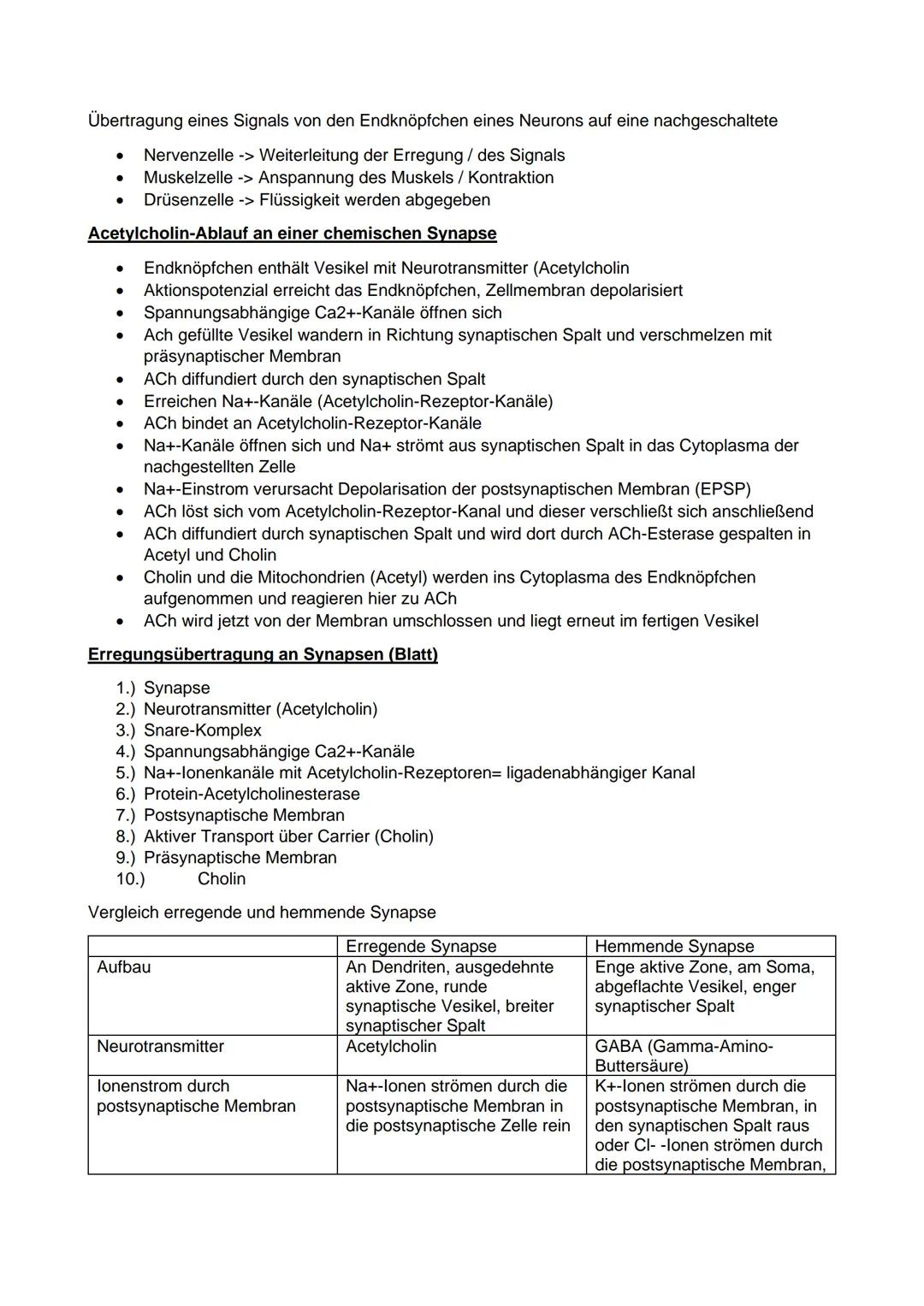 Q1
Prokaryoten und Eukaryoten
Prokaryoten
Biologie Leistungskurs Abitur 2021
●
Ringförmige DNA, ohne Kernhülle
und ohne Proteine, haploid
• 