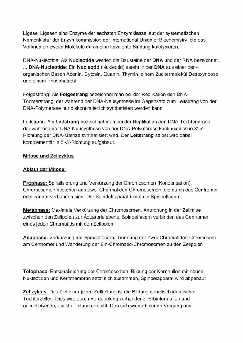 Q1
Prokaryoten und Eukaryoten
Prokaryoten
Biologie Leistungskurs Abitur 2021
●
Ringförmige DNA, ohne Kernhülle
und ohne Proteine, haploid
• 