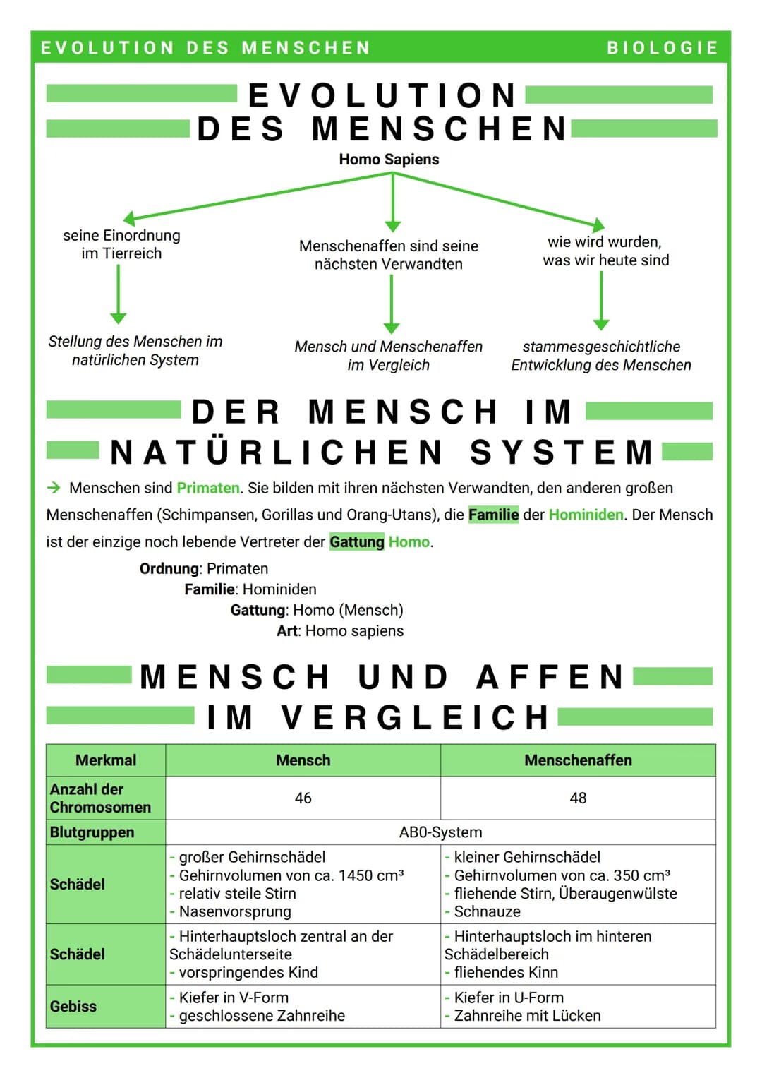 EVOLUTION DES MENSCHEN
seine Einordnung
im Tierreich
Stellung des Menschen im
natürlichen System
Merkmal
Schädel
EVOLUTION
DES MENSCHEN
Homo
