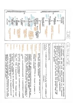 Know Glykolyse thumbnail