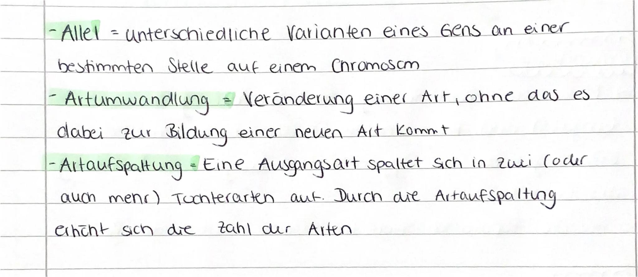 biologie
Grundlage
Synthetische Evolutionstheone
18.01.22
→ Mutation (Spontane ungerichtete Veränderung des
Eibguts) und Rekombination (Neuk