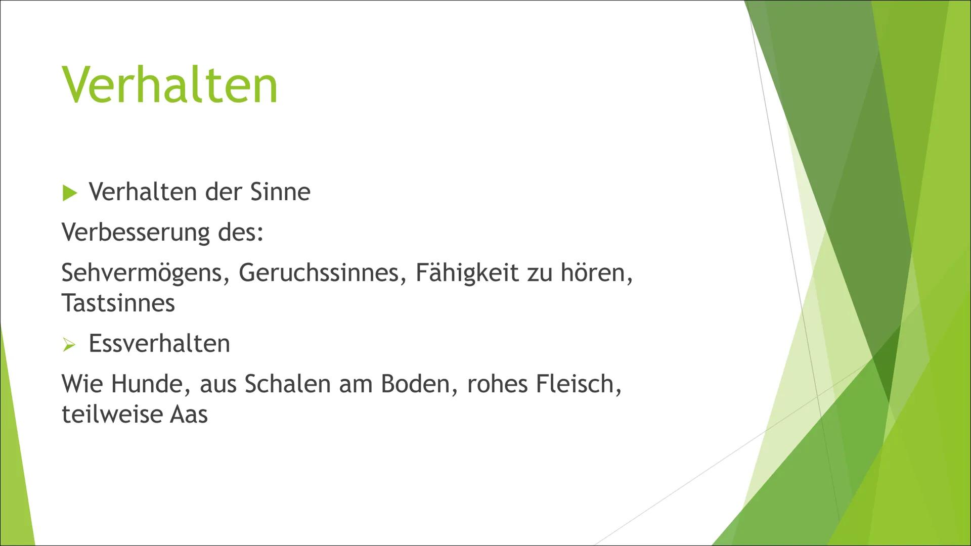 Amala & Kamala
Präsentation Gliederung
► 1. Definition Wolfskinder
2. Amala & Kamala
► 2.1. Entdeckung
► 2.2. Äußere Erscheinung
2.3. Verhal