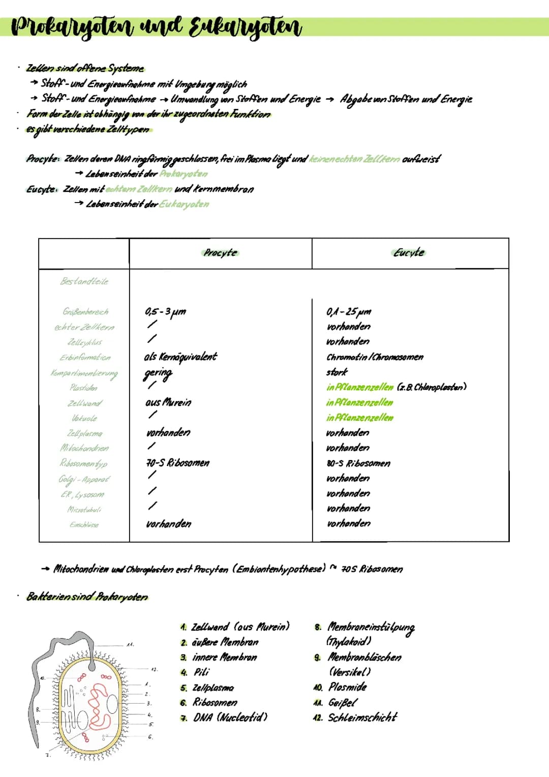Zellbiologie 