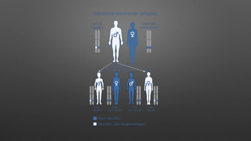 
<p>Das Marfan-Syndrom ist eine seltene genetische Erkrankung des Bindegewebes, die viele verschiedene Organe wie Knochen, Gelenke, Herz ode