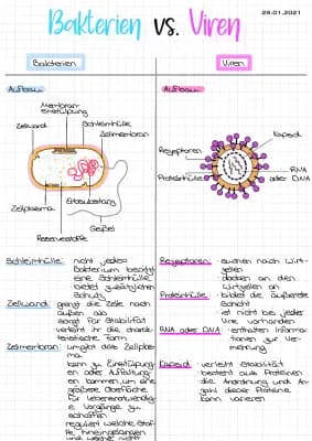 Know Bakterien vs. Viren thumbnail