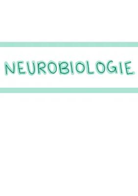 Know Neurobiologie Abi thumbnail