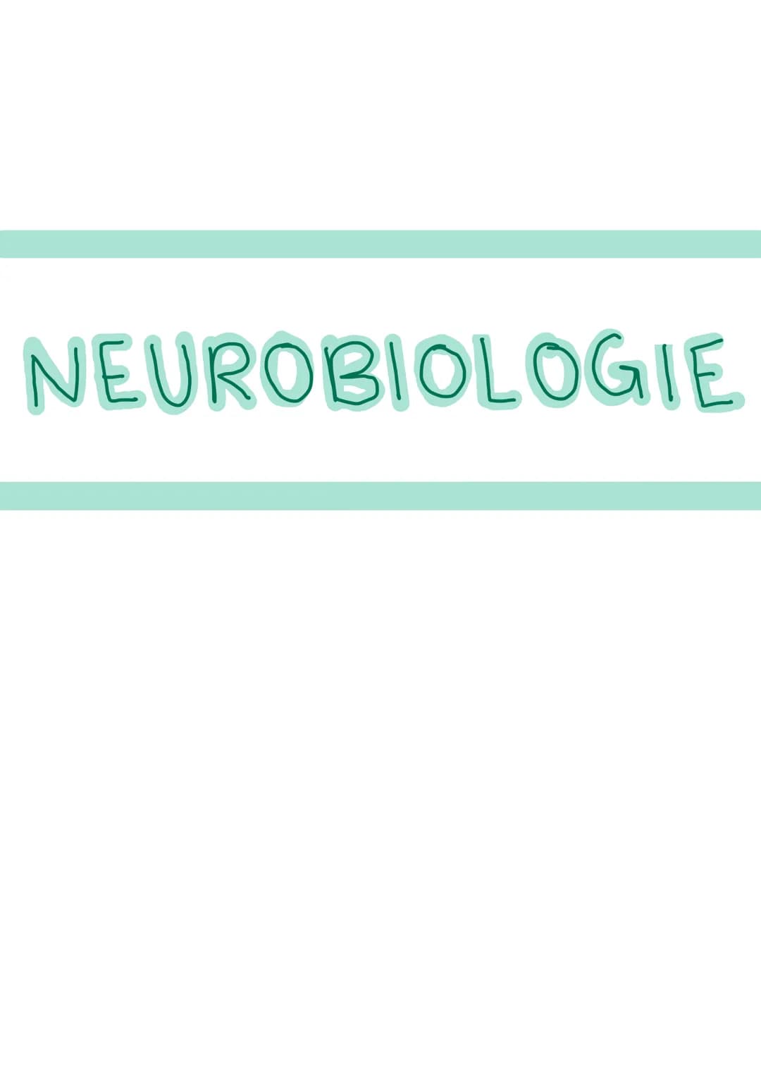 NEUROBIOLOGIE Informationsaufnahme und Informationsverarbeitung
Reiz
Rezeptor
ZNS (Gehim, Rückenmark)
Transduktion:
sensorische Nervenfaser
