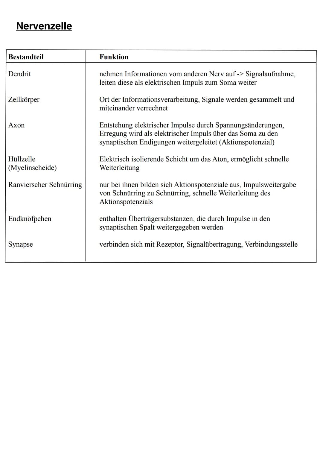 NEUROBIOLOGIE Informationsaufnahme und Informationsverarbeitung
Reiz
Rezeptor
ZNS (Gehim, Rückenmark)
Transduktion:
sensorische Nervenfaser
