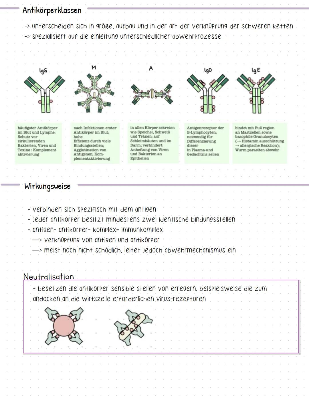 # Antikörper

-> werden von b-lymphozyten gebildet

=> werden plasmazellen gennant

-> antigene sind proteine- immunglobuline (ig)

-> es gi