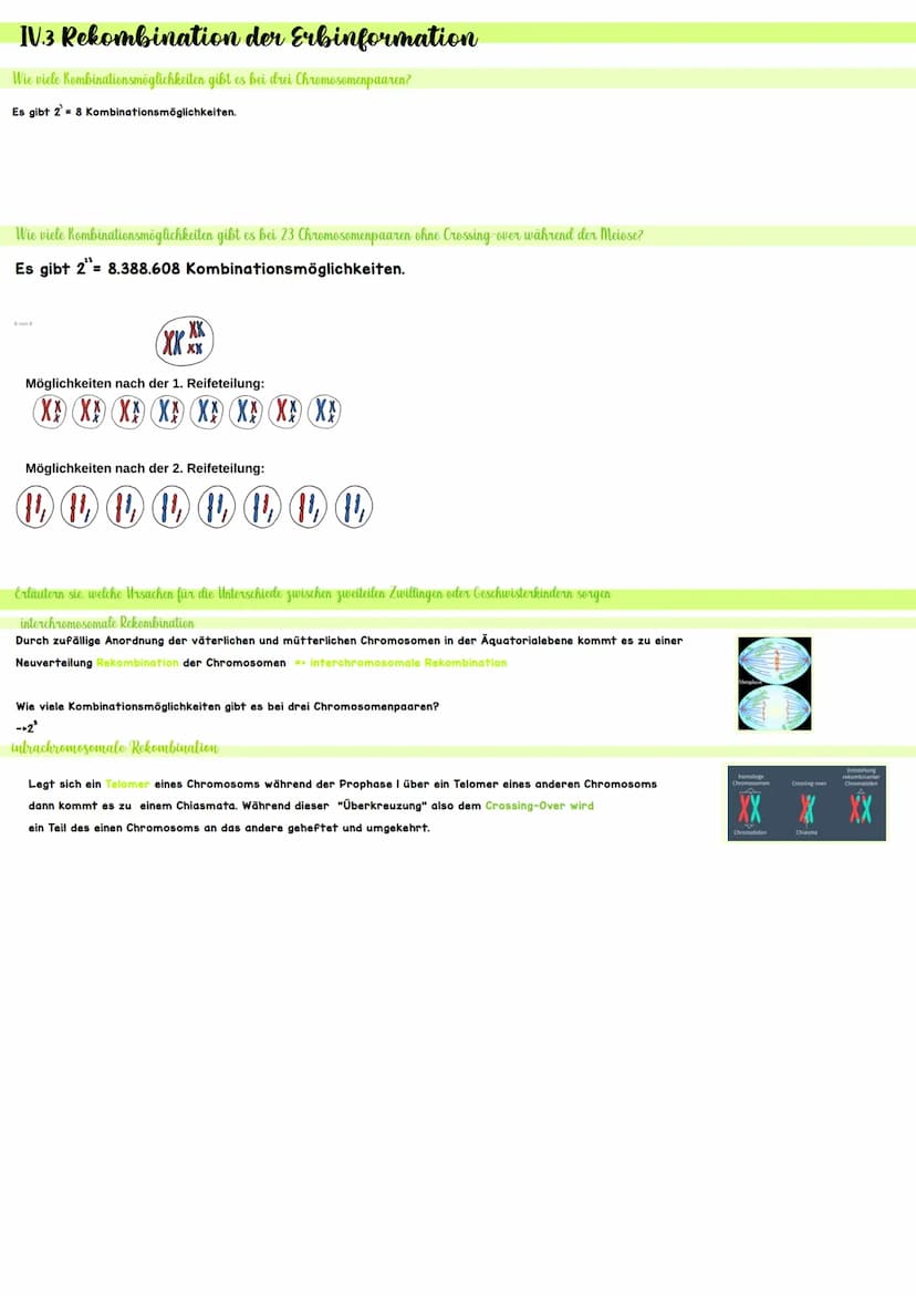 Biologie IV.1 Genetik
46 Chromosomen
46 Chromosomen
??? Chromosomen
Definition diploid
genetische Informationen liegen doppelt vor
Definitio