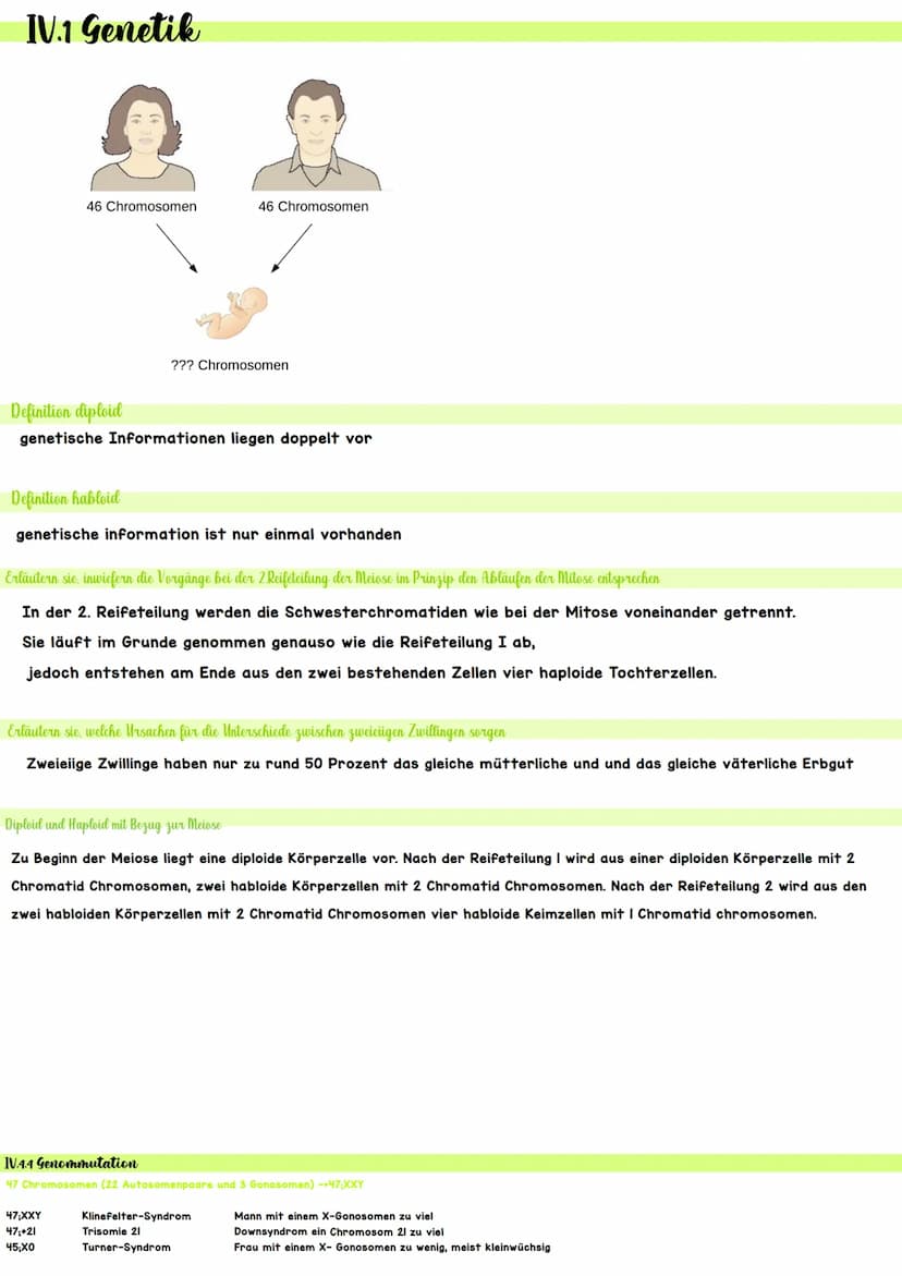 Biologie IV.1 Genetik
46 Chromosomen
46 Chromosomen
??? Chromosomen
Definition diploid
genetische Informationen liegen doppelt vor
Definitio