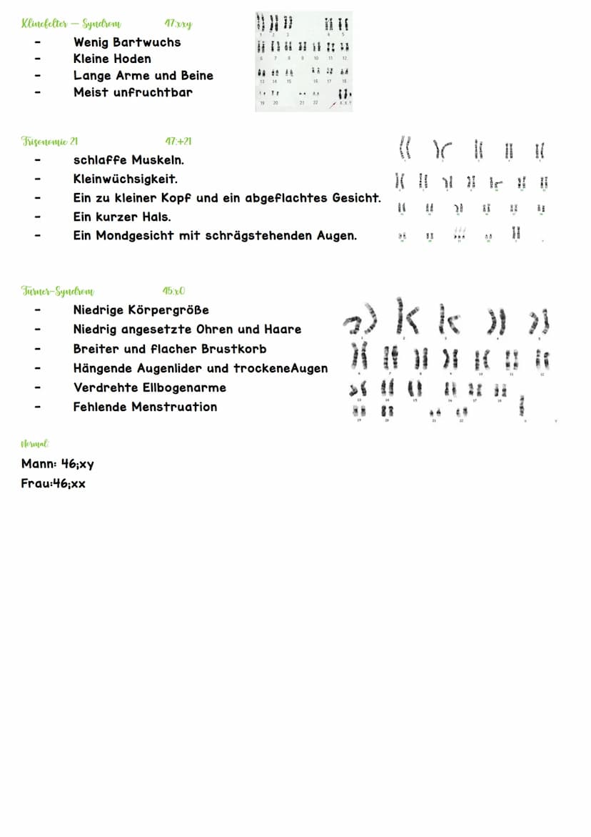 Biologie IV.1 Genetik
46 Chromosomen
46 Chromosomen
??? Chromosomen
Definition diploid
genetische Informationen liegen doppelt vor
Definitio