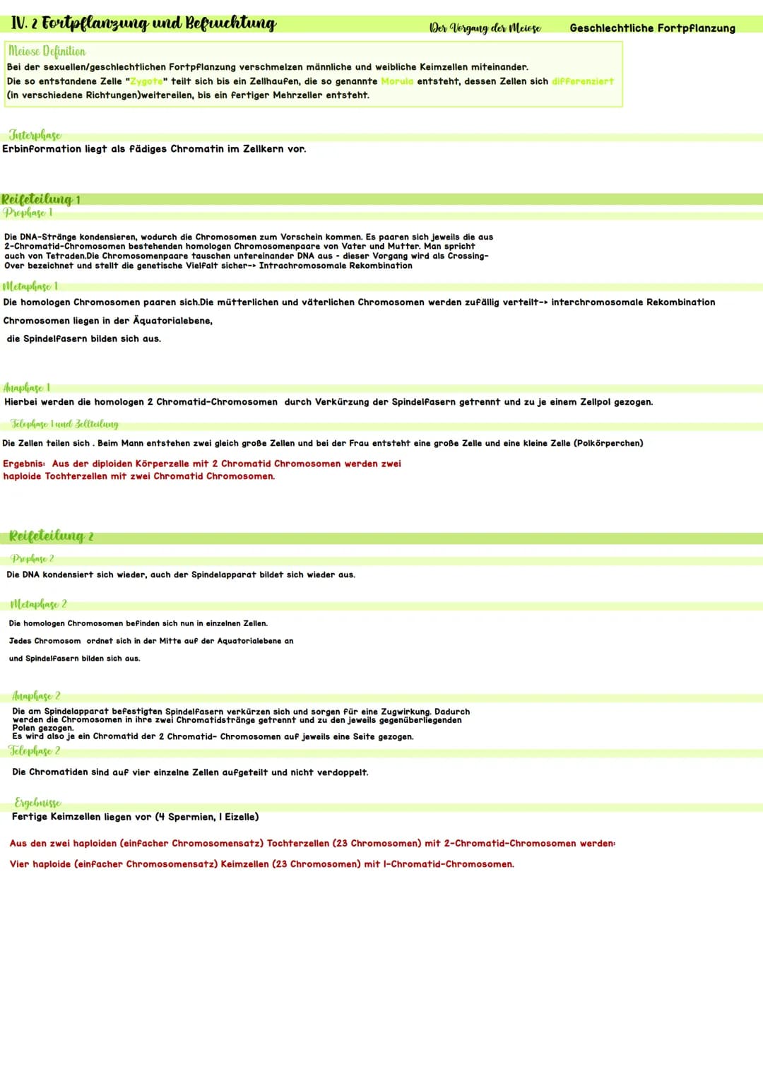 Biologie IV.1 Genetik
46 Chromosomen
46 Chromosomen
??? Chromosomen
Definition diploid
genetische Informationen liegen doppelt vor
Definitio