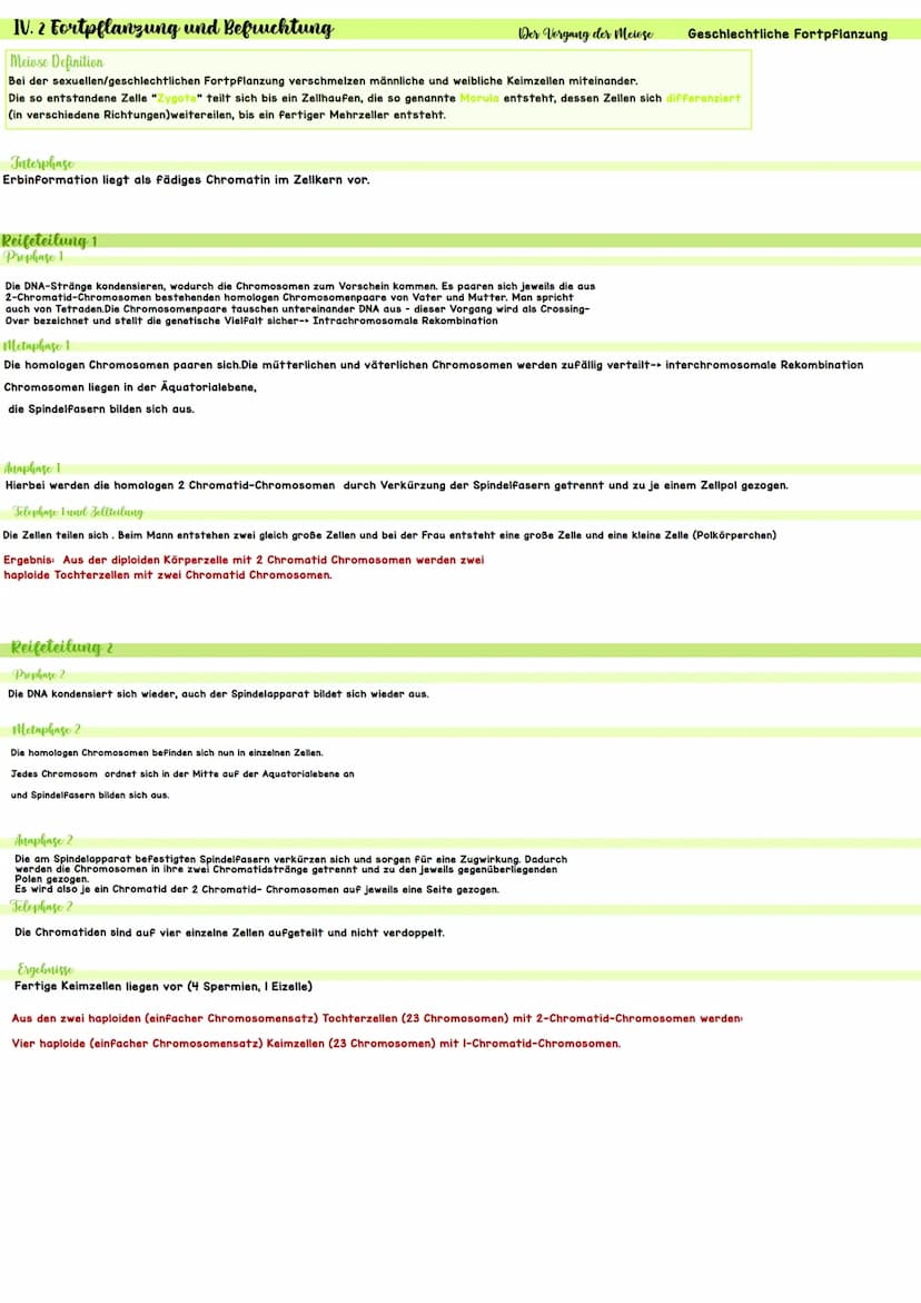 Biologie IV.1 Genetik
46 Chromosomen
46 Chromosomen
??? Chromosomen
Definition diploid
genetische Informationen liegen doppelt vor
Definitio