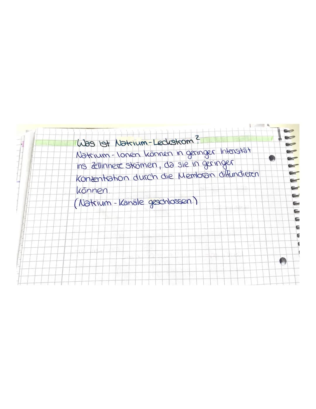 
<p>Die Nervenzelle besteht aus einem äußeren und einem inneren Zellteil, die durch eine semipermeable Membran voneinander getrennt sind. Au