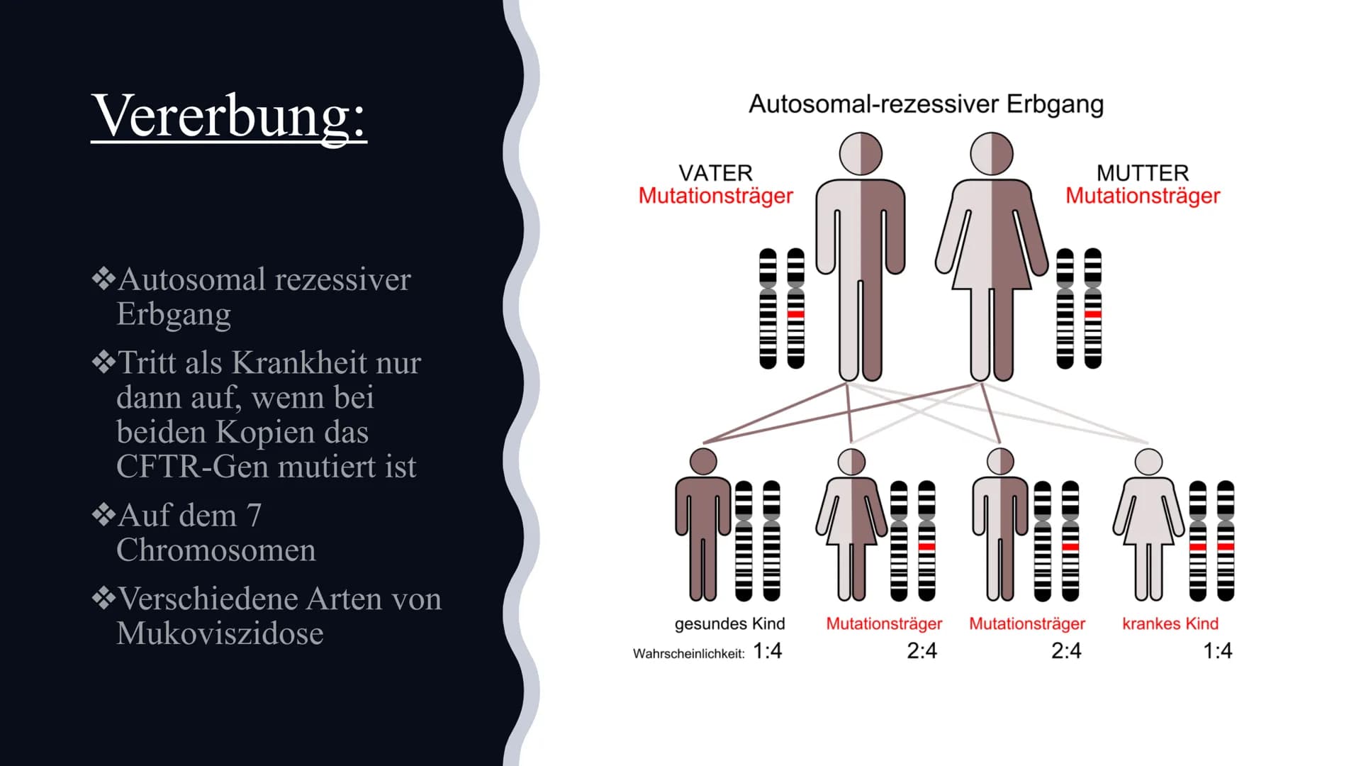 Mukoviszidose
Von Celine und Nisa Gliederung:
Definition
*Symptome
Ursachen
Krankheitsbild
*Vererbung
*Lebenserwartung/Vorkommen
Die Verschi