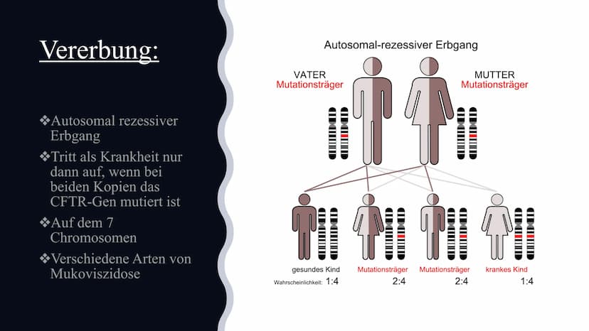 Mukoviszidose
Von Celine und Nisa Gliederung:
Definition
*Symptome
Ursachen
Krankheitsbild
*Vererbung
*Lebenserwartung/Vorkommen
Die Verschi