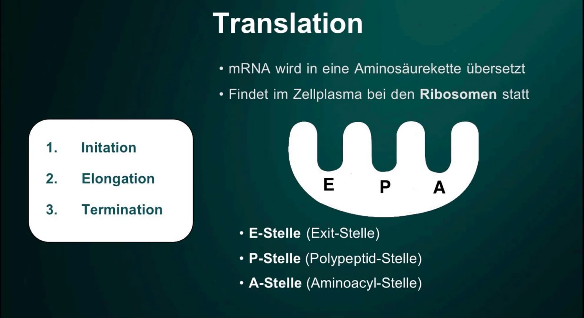 Proteinbiosynthese
Die Geburt eines Proteins ●
• DNA
●
●
Inhalt
Proteinbiosnythese - Definition
Transkription
Initation
Elongation
Terminati