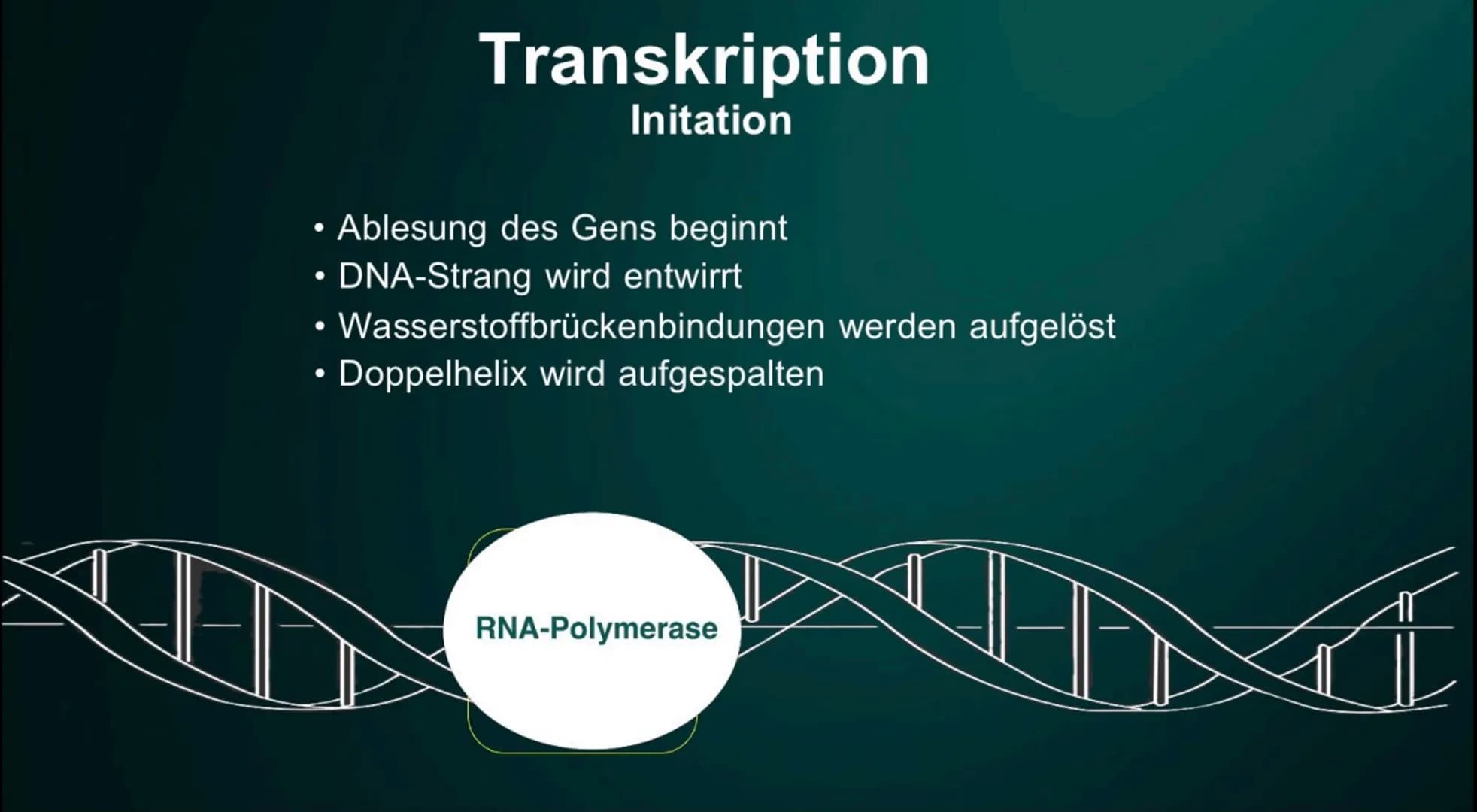 Proteinbiosynthese
Die Geburt eines Proteins ●
• DNA
●
●
Inhalt
Proteinbiosnythese - Definition
Transkription
Initation
Elongation
Terminati