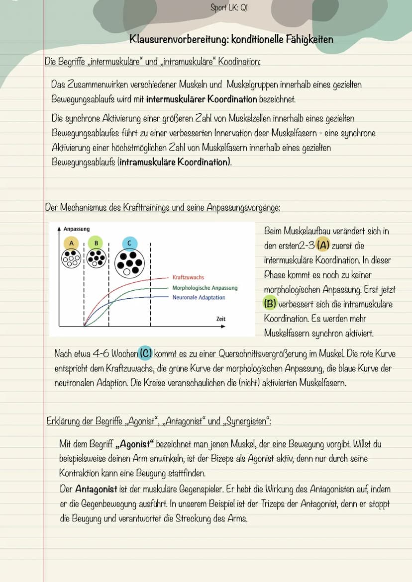 Sport LK: QI
Klausurenvorbereitung: konditionelle Fähigkeiten
BEGRIFFSDEFINITIONEN
Die vier konditionellen Fähigkeiten:
1: Ausdauer ist die 