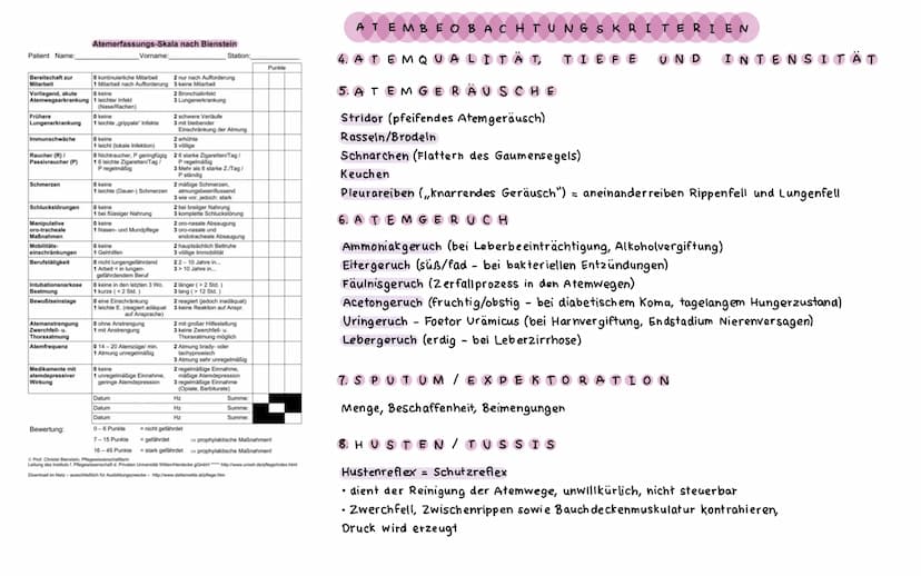 ΑΝΑΤΟΜΙΕ ATMUNGSSYSTEM
LUNGEN UND BRONCHI ALBAUM
Lungenspitze
(apex pulmonis)
rechter oberer
Lungenlappen
(lobus superior
dexter)
rechter mi