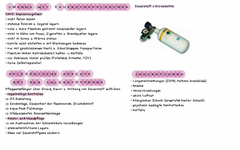 ΑΝΑΤΟΜΙΕ ATMUNGSSYSTEM
LUNGEN UND BRONCHI ALBAUM
Lungenspitze
(apex pulmonis)
rechter oberer
Lungenlappen
(lobus superior
dexter)
rechter mi