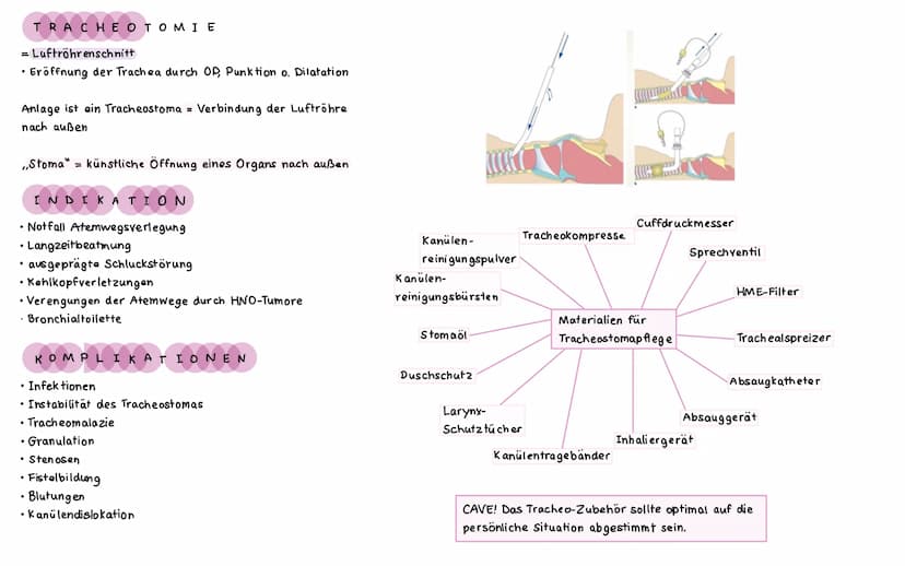 ΑΝΑΤΟΜΙΕ ATMUNGSSYSTEM
LUNGEN UND BRONCHI ALBAUM
Lungenspitze
(apex pulmonis)
rechter oberer
Lungenlappen
(lobus superior
dexter)
rechter mi