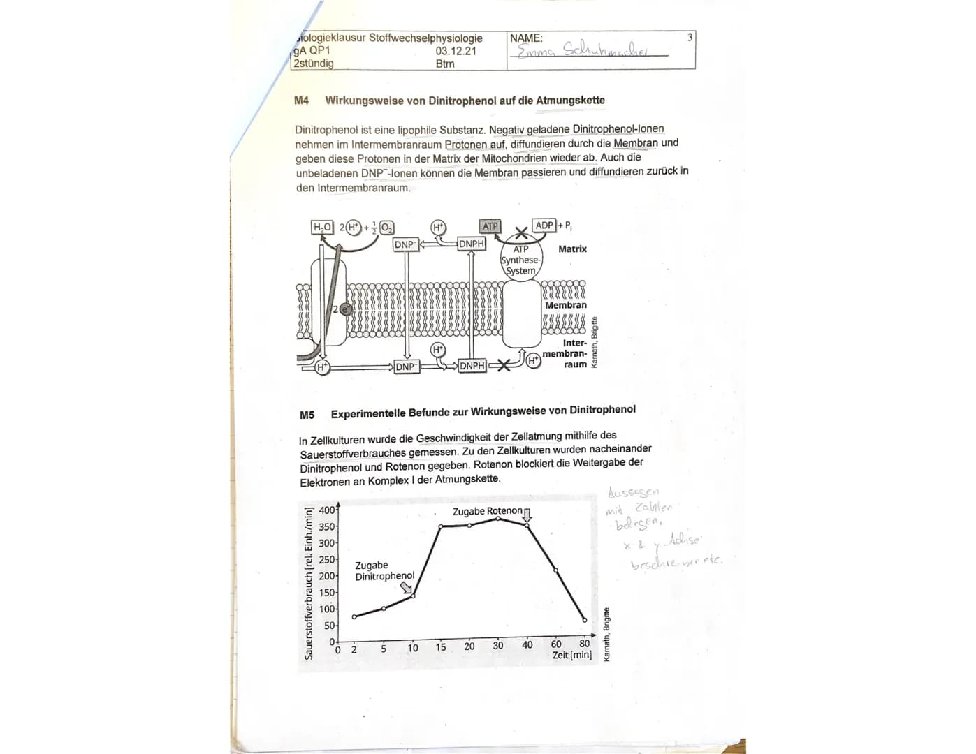 Biologieklausur Stoffwechselphysiologie
gA QP1
2stündig
Lesen Sie sich zuerst die Aufgaben in Ruhe durch. Schreiben Sie bitte alle Antworten