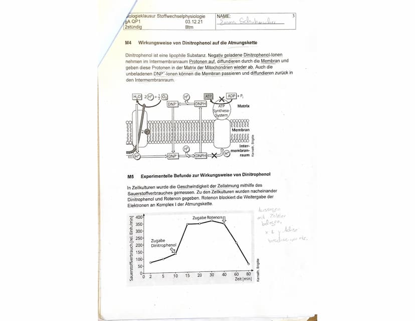 Biologieklausur Stoffwechselphysiologie
gA QP1
2stündig
Lesen Sie sich zuerst die Aufgaben in Ruhe durch. Schreiben Sie bitte alle Antworten
