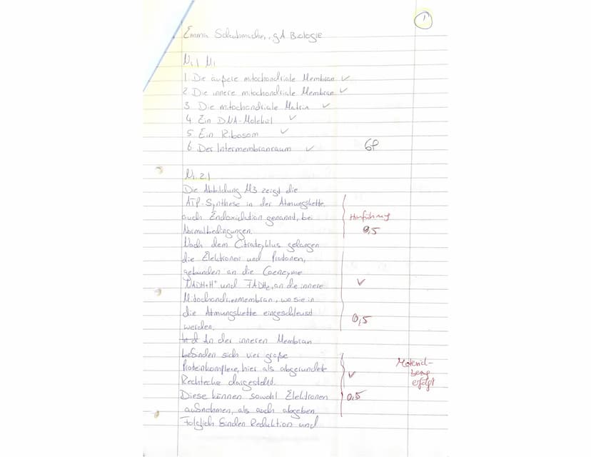 Biologieklausur Stoffwechselphysiologie
gA QP1
2stündig
Lesen Sie sich zuerst die Aufgaben in Ruhe durch. Schreiben Sie bitte alle Antworten