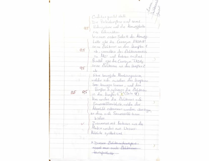 Biologieklausur Stoffwechselphysiologie
gA QP1
2stündig
Lesen Sie sich zuerst die Aufgaben in Ruhe durch. Schreiben Sie bitte alle Antworten