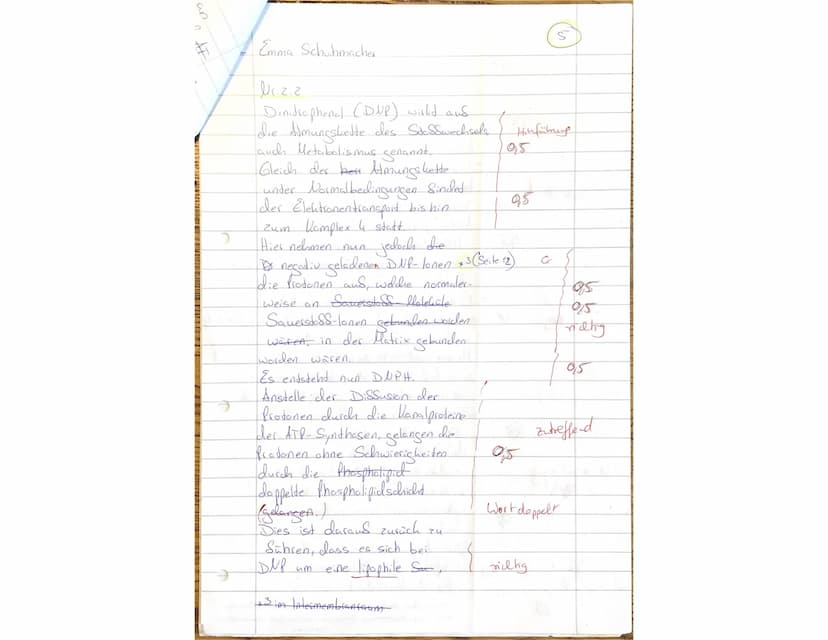 Biologieklausur Stoffwechselphysiologie
gA QP1
2stündig
Lesen Sie sich zuerst die Aufgaben in Ruhe durch. Schreiben Sie bitte alle Antworten